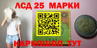 индика Комсомольск-на-Амуре