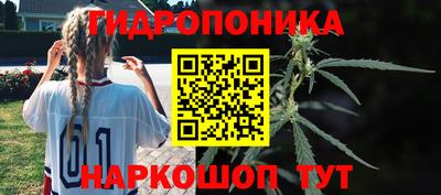 индика Комсомольск-на-Амуре
