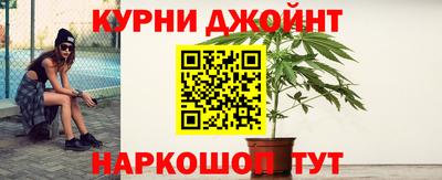 крисы Коммунар
