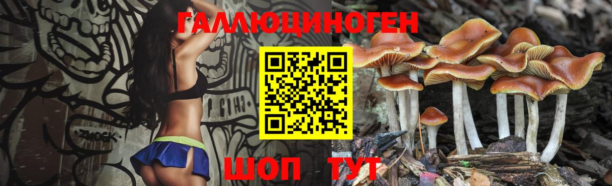Псилоцибиновые грибы Psilocybe  Вход с VPN  Изобильный 